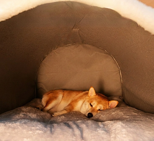 מיטה לכלב | מיטה לכלבים גדולים | מיטה לכלבים קטנים | מיטה לכלב בינוני | איגלו לכלב | בית לכלב בתוך הבית | מיטה חומה לכלב | איגלו לכלבים | מיטה איכותית לכלב |