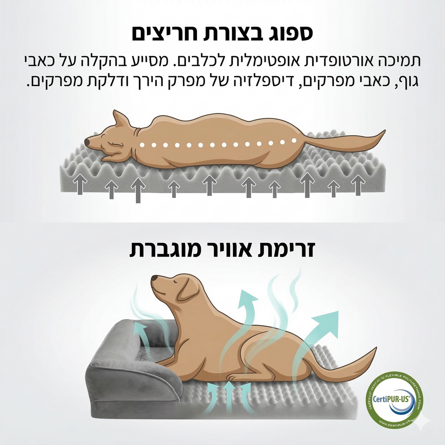 מיטה אורתופדית לכלב Orthopaw