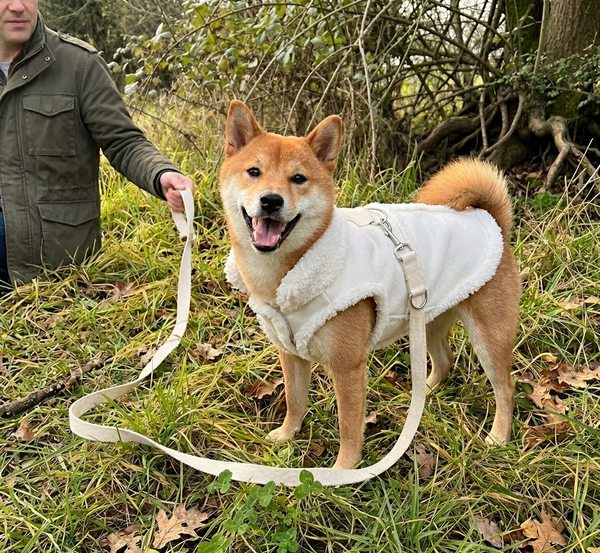 מעיל לכלב קטן | מעיל לכלב בינוני | מעיל לכלבים קטנים | מעיל חורף לכלבים | בגדים לכלבים קטנים 