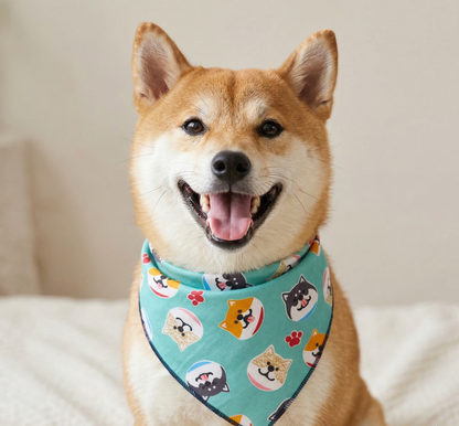 בנדנה לכלב | בנדנות לכלבים | בנדנה לכלב גדול | בנדנה לכלבים | אביזרים לכלבים